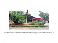 ที่ดินพร้อมสิ่งปลูกสร้างหลุดจำนอง ธ.ธนาคารออมสิน เลย วังสะพุง ทรายขาว