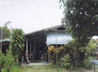 บ้านเดี่ยวหลุดจำนอง ธ.ธนาคารอาคารสงเคราะห์ เลย เมืองเลย ศรีสองรัก