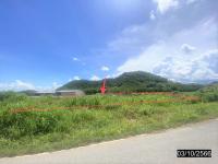 ที่ดินว่างเปล่าหลุดจำนอง ธ.ธนาคารกสิกรไทย เลย ท่าลี่ อาฮี