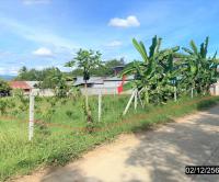 ที่ดินว่างเปล่าหลุดจำนอง ธ.ธนาคารกสิกรไทย เลย ท่าลี่ อาฮี