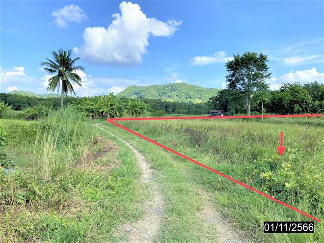ที่ดินว่างเปล่าหลุดจำนอง ธ.ธนาคารกสิกรไทย เลย ท่าลี่ อาฮี
