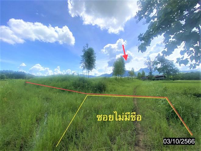 ที่ดินว่างเปล่าหลุดจำนอง ธ.ธนาคารกสิกรไทย เลย ท่าลี่ อาฮี