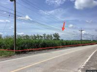 ที่ดินว่างเปล่าหลุดจำนอง ธ.ธนาคารกสิกรไทย เลย เอราวัณ เอราวัณ