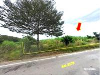 ที่ดินว่างเปล่าหลุดจำนอง ธ.ธนาคารกสิกรไทย เลย เอราวัณ เอราวัณ