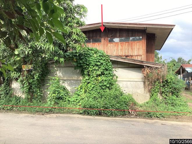 บ้านเดี่ยวหลุดจำนอง ธ.ธนาคารกสิกรไทย เลย ท่าลี่ หนองผือ