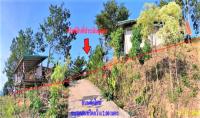 บ้านเดี่ยวหลุดจำนอง ธ.ธนาคารกสิกรไทย เลย ปากชม ชมเจริญ