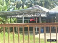 บ้านเดี่ยวหลุดจำนอง ธ.ธนาคารกสิกรไทย เลย วังสะพุง ปากปวน